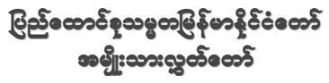 Amyotha Hluttaw
